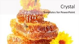  Presentation with honey bee honeycomb - Audience pleasing PPT theme consisting of sweet honeycomb with honey bee and flowers isolated on white backdrop and a white colored foreground