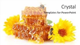  Presentation with honey bee honeycomb - Audience pleasing presentation theme consisting of sweet honeycomb with honey bee and flowers isolated on white backdrop and a white colored foreground