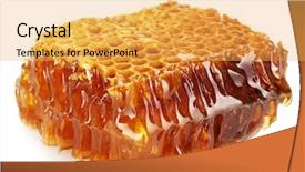  Presentation with honeycomb - Cool new slides with sweet honeycomb with honey isolated backdrop and a yellow colored foreground