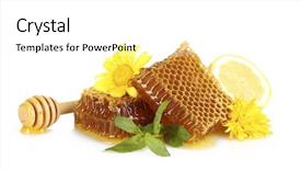  Presentation with mint - Slides having sweet honeycombs with mint lemon and flowers isolated on white background and a white colored foreground