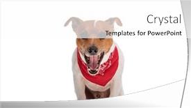  Presentation with russell - 