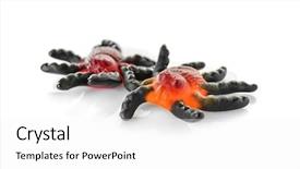  Presentation with jelly - Colorful slide deck enhanced with sweet jelly spiders isolated on white backdrop and a white colored foreground