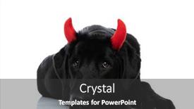  Presentation with sweet - Presentation theme having sweet-labrador-retriever-dog-resting background and a dark gray colored foreground