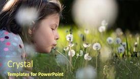  Presentation with dandelion - Colorful presentation enhanced with sweet-little-girl-blowing-dandelion backdrop and a tawny brown colored foreground