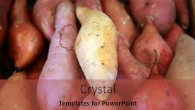  Presentation with sweet potato - Presentation theme having sweet-potato-yams-also-known background and a red colored foreground