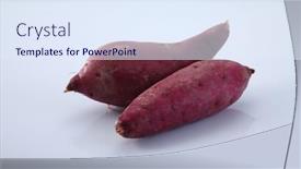  Presentation with sweet - Audience pleasing PPT layouts consisting of sweet-potatoes-on-the-white backdrop and a sky blue colored foreground