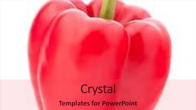  Presentation with pepper - Presentation theme having sweet red pepper isolated background and a red colored foreground