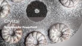  Presentation with flavor - Beautiful PPT theme featuring sweet-rings-cookies-biscuits backdrop and a gray colored foreground