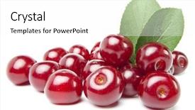  Presentation with fruit tree - Slides consisting of sweet ripe tasty berries cherry background and a white colored foreground