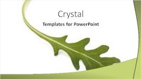  Presentation with lettuce - Colorful slide deck enhanced with sweet-rucola-salad-or-rocket backdrop and a white colored foreground