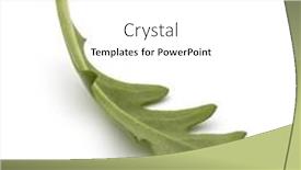  Presentation with rocket - Amazing slide deck having sweet-rucola-salad-or-rocket backdrop and a white colored foreground