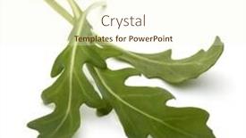  Presentation with rocket - Beautiful slides featuring sweet-rucola-salad-or-rocket backdrop and a cream colored foreground