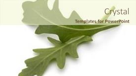  Presentation with rocket - Slides enhanced with sweet-rucola-salad-or-rocket background and a cream colored foreground