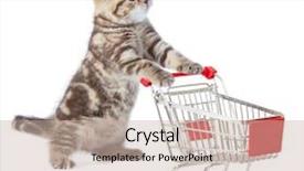  Presentation with cat - Cool new PPT theme with sweet shop - funny cat standing with shopping backdrop and a mint green colored foreground