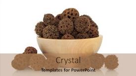  Presentation with herbal medicine - Cool new presentation with sweetgum-fruit-in-a-beech backdrop and a coral colored foreground