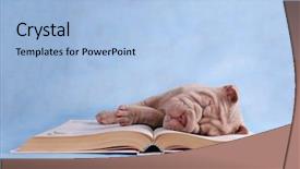  Presentation with baby animals - Amazing slides having sweetly on an open book backdrop and a light blue colored foreground