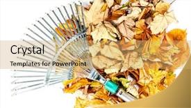  Presentation with dead leaves - Amazing slides having swept by metal fan rake backdrop and a yellow colored foreground