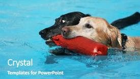  Presentation with public - Presentation design with well organised unusual vintage style natural wooden desk with white grey computer keyboard mouse three pencils orange yellow green background and a tawny brown colored foreground