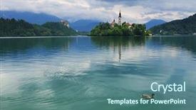  Presentation with duck - PPT theme having i love animals good looking handsome happy man holding a small black kitten and looking at it while showing it to his daughter background and a gray colored foreground