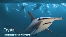  Presentation with life insurance - Theme with swimmers health and life insurance background and a ocean colored foreground