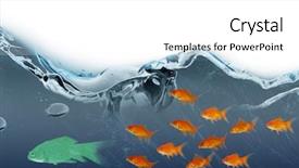  Presentation with digital image - Audience pleasing presentation theme consisting of swimming against digital composite image backdrop and a  colored foreground