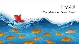  Presentation with digital image - Presentation theme enhanced with swimming against digital composite image background and a white colored foreground