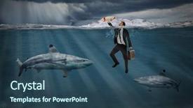  Presentation with sharks - Presentation design featuring swimming among sharks in storm background and a ocean colored foreground