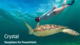  Presentation with underwater - Cool new slide set with yellow dandelion on nature in the park in nature backdrop and a violet colored foreground