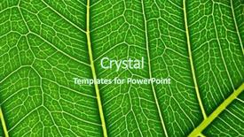  Presentation with green leaf - Presentation theme enhanced with swirls corners - bright green leaf background and a  colored foreground