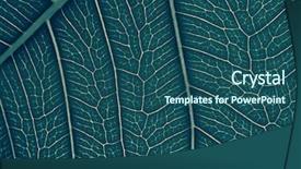  Presentation with leaf pathogen - Presentation theme featuring swirls corners - closeup of leaf background and a  colored foreground