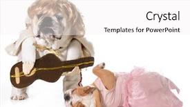  Presentation with dispute rock star - Slide set featuring swoon - english bulldog wearing rock star background and a white colored foreground