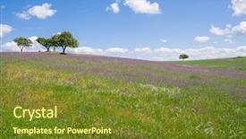  Presentation with spring - Beautiful slides featuring syber - alentejo landscape during spring backdrop and a tawny brown colored foreground