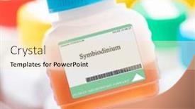  Presentation with photosynthesis - PPT theme consisting of symbiodinium-these-dinoflagellates-form background and a lemonade colored foreground