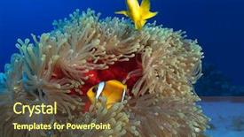  Presentation with fish at sea - PPT theme with peak of mountain conceptual design background and a gray colored foreground