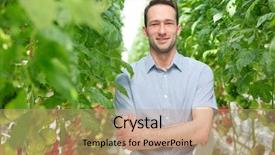  Presentation with greenhouse gases - Cool new slide deck with symbiotic - portrait of confident supervisor standing backdrop and a coral colored foreground