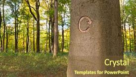  Presentation with woodland - Theme enhanced with symbol carved into a tree background and a tawny brown colored foreground