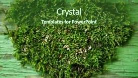  Presentation with ecology - PPT layouts consisting of symbol ecology background and a forest green colored foreground