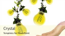  Presentation with light bulbs - PPT layouts with eco technology - arms and light bulbs symbol background and a blonde colored foreground