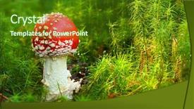  Presentation with good luck - Cool new PPT theme with symbol of good luck backdrop and a tawny brown colored foreground