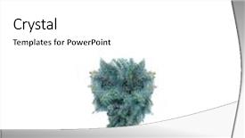  Presentation with fir tree - Audience pleasing presentation theme consisting of decimal numbers - symbols from fir-tree backdrop and a white colored foreground