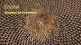  Presentation with seeds - PPT layouts enhanced with symmetric-sunflower-seeds-nature-background background and a tawny brown colored foreground