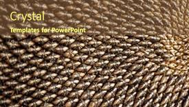  Presentation with seeds - Amazing slide deck having symmetric-sunflower-seeds-nature-background backdrop and a tawny brown colored foreground