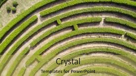  Presentation with maze - Audience pleasing PPT layouts consisting of symmetry - aerial view of green maze backdrop and a yellow colored foreground