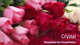  Presentation with sympathy card - Presentation design featuring sympathy card - roses background and a violet colored foreground