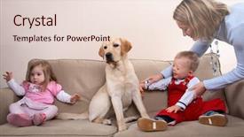  Presentation with therapy dog - Amazing presentation theme having syndrome at a dog therapy backdrop and a lemonade colored foreground