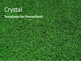 Synthetic Turf Artificial Grass Background PPT template 36 ...