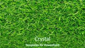  Presentation with grass - Slide deck featuring synthetic turf - artificial green grass for background background and a forest green colored foreground