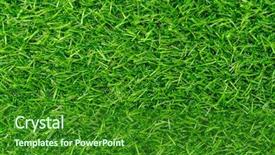  Presentation with green grass artificial top - Slide deck consisting of synthetic turf - artificial green grass for background background and a forest green colored foreground