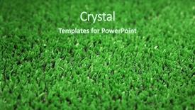  Presentation with grass - Beautiful PPT theme featuring synthetic turf - backgrounnd of artificial green grass backdrop and a forest green colored foreground