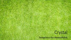  Presentation with green grass artificial top - Slide deck enhanced with synthetic turf - green artificial grass background and a  colored foreground